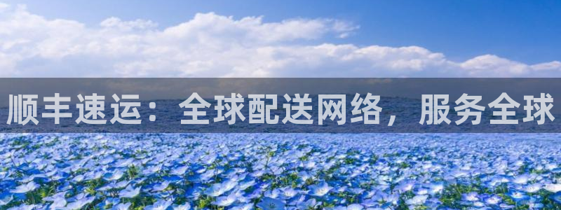 旺财28正规吗?