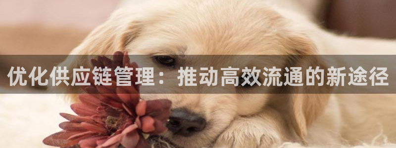 旺财28是南宫旗下的吗：优化供应链管