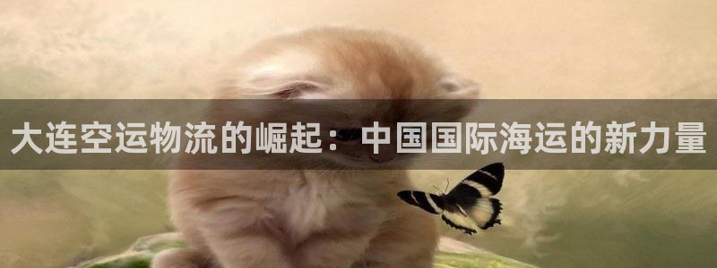 旺财28登录用户名登录不上:大连空运