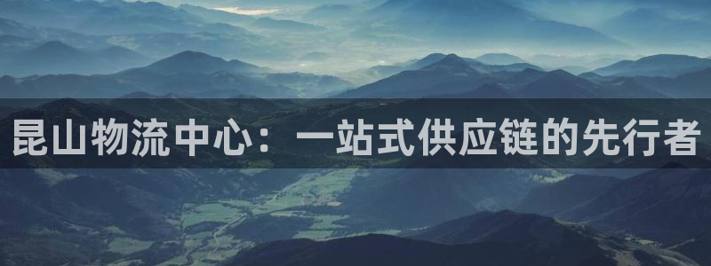 旺财28辅助