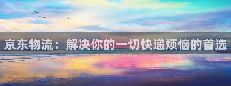 旺财28客服一直不回消息怎么办：京东