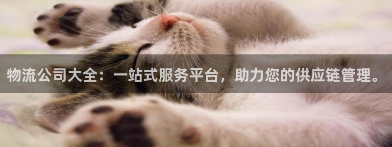 旺财28注册：物流公司大全：一站式服