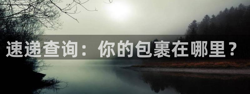 旺财28那个才是充值账号：速递查询：