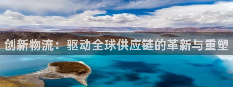 旺财28加拿大官网：创新物流：驱动全