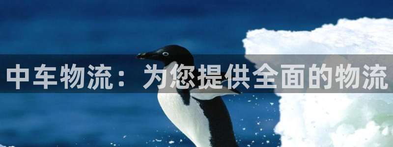旺财28流水怎么算：中车物流：为您提