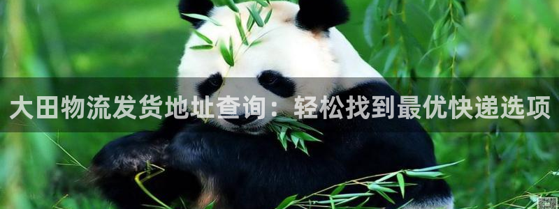 旺财28黑不黑：大田物流发货地址查询