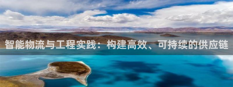 旺财28官方平台：智能物流与工程实践