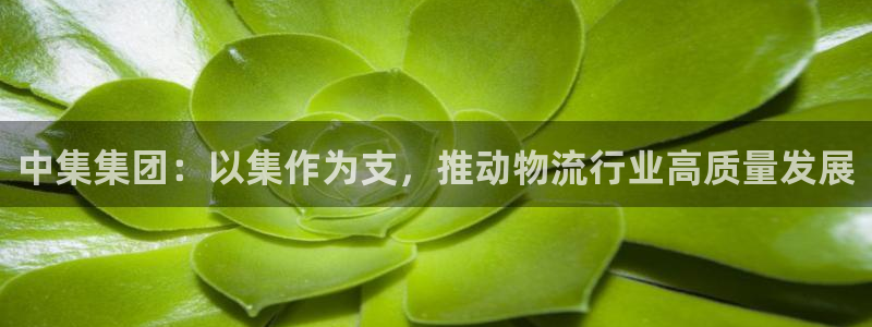 旺财28加拿大最新版：中集集团：以集