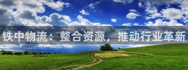 旺财28注册二维码：铁中物流：整合资