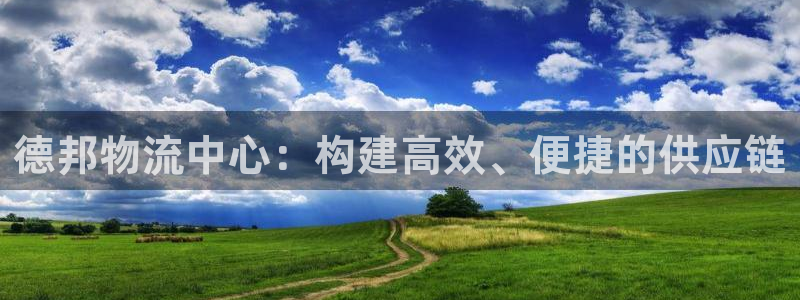 旺财28反水：德邦物流中心：构建高效