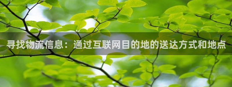 旺财28充值：寻找物流信息：通过互联