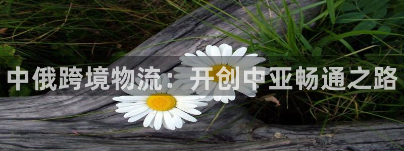 旺财28链接多少：中俄跨境物流：开创