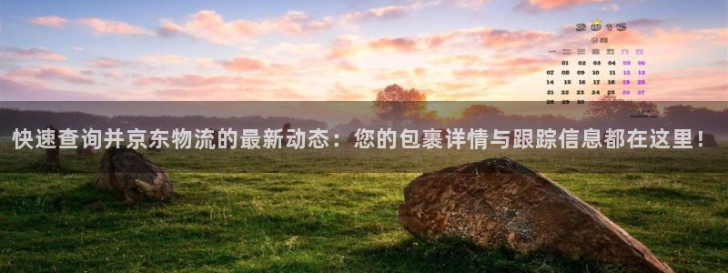 旺财28app能退款吗：快速查询并京