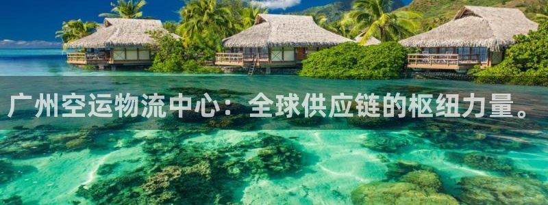 旺财28加拿大走势：广州空运物流中心