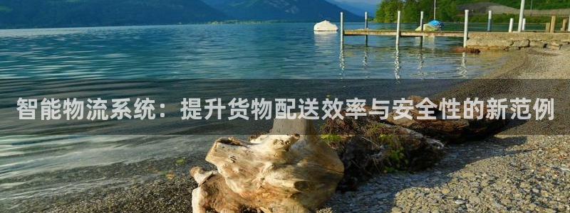 旺财28注册上限是啥意思：智能物流系
