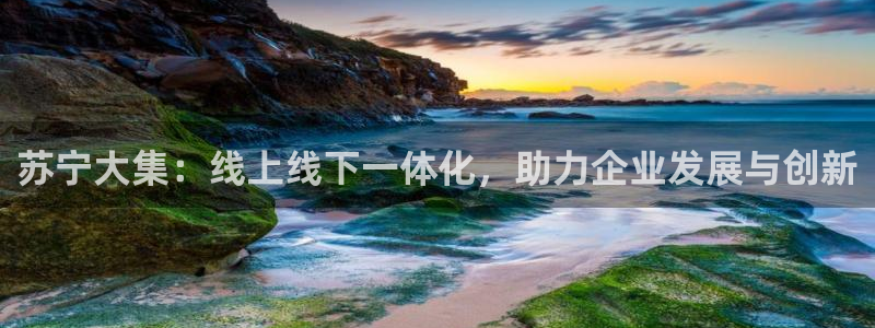 旺财28登录不上咋回事：苏宁大集：线