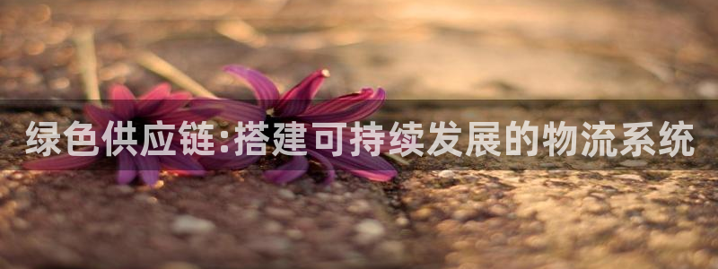 旺财28p扣款什么意思：绿色供应链: