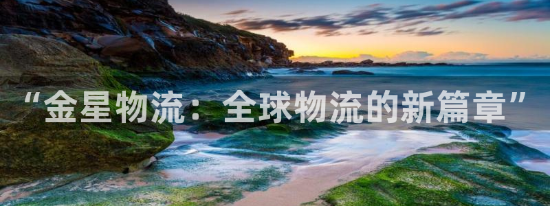 旺财28登录网：“金星物流：全球物流