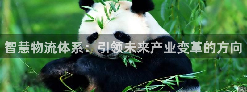 旺财28app注册地址：智慧物流体系