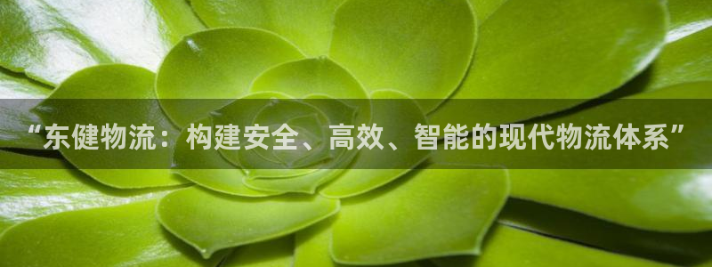 旺财28玩法：“东健物流：构建安全、
