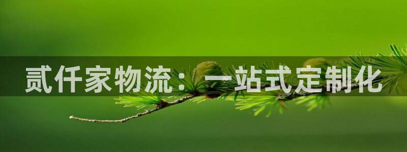 旺财28官网入口官网:贰仟家物流:一