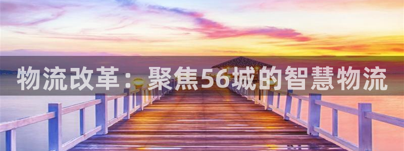 旺财28的平台:物流改革:聚焦56城