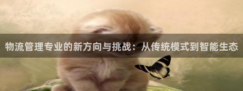 旺财28注册登录流程:物流管理专业的