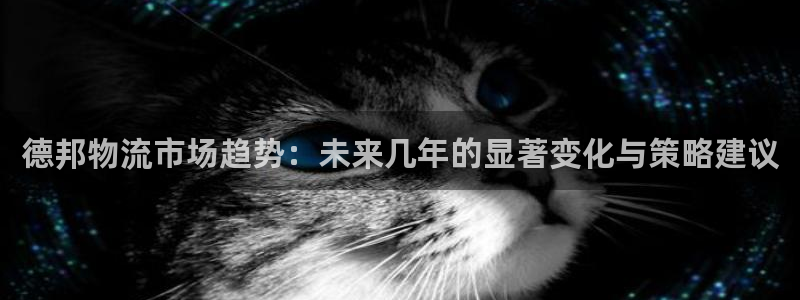 旺财28aPP退款