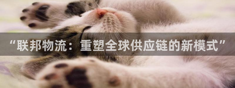 旺财28返水怎么算的