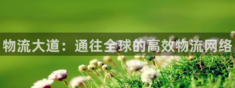 旺财28开奖预测