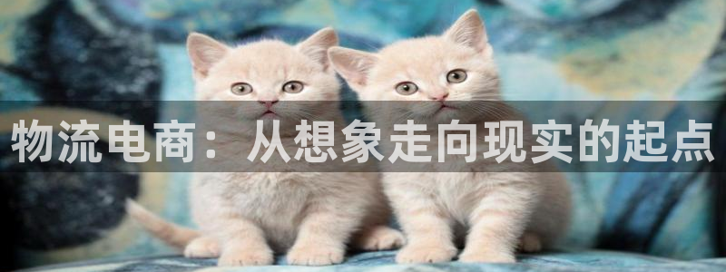 旺财28下载体育