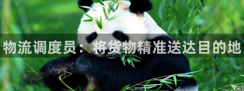 旺财28麻将胡了爆分视频：物流调度员：将货物精准送达目的地