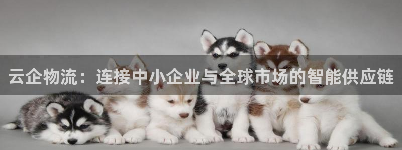 旺财28客服电话