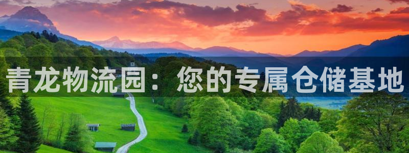 旺财28官方官网